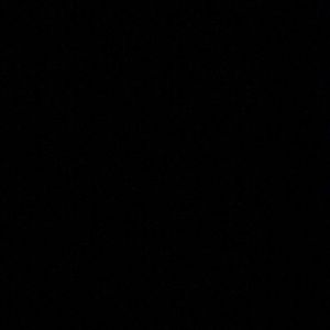 Meet your Posher, Diego